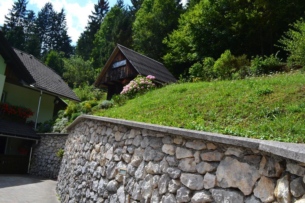 Rems Apartment Bohinj Luaran gambar